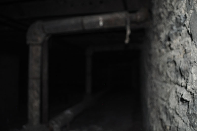 DSC_0089