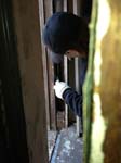 DURABLE_WINDOW_POCKET_B
