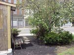 JAYLA'S_GARDEN