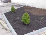 JAYLA'S_GARDEN_A
