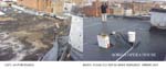 FLY_HOUSE_ROOF