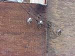 SORG_ELECTRICAL_SERVICE_SOUTH_1+2+3
