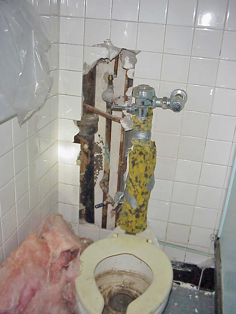 KING_TUTS_TOILET