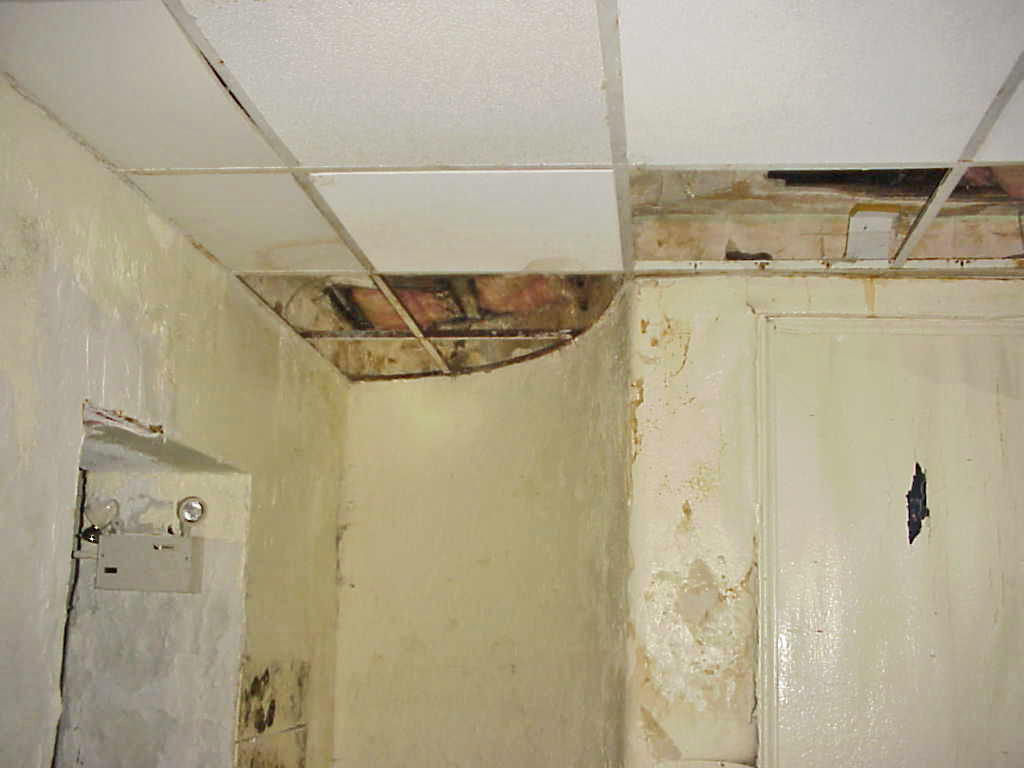 MAIN_HOUSE_WOMENS_RESTROOM_B_OUTER_CEILING