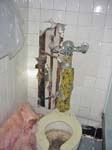 KING_TUTS_TOILET