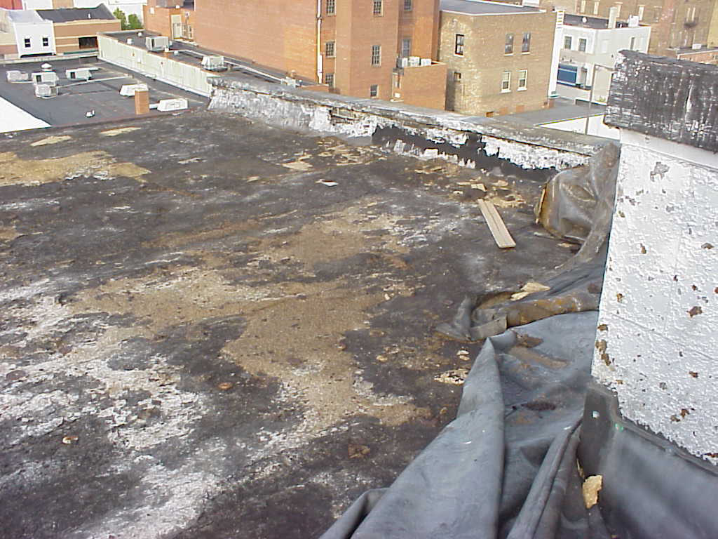 SORG_FLY_ROOF_SKYLIGHT_SMALL_B