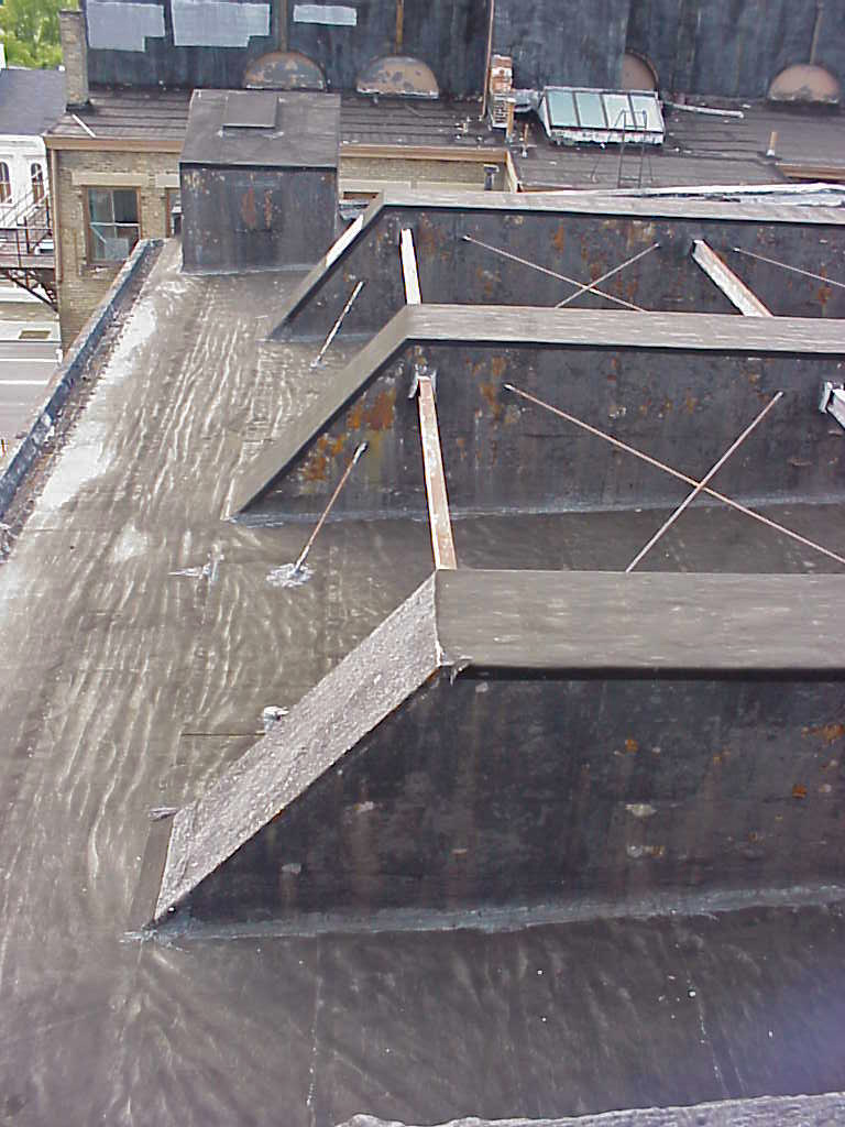 SORG_HOUSE_ROOFviewWEST