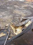 SORG_FLY_ROOF_NORTH_C