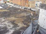 SORG_FLY_ROOF_SKYLIGHT_SMALL_B