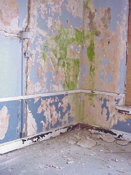 COMMERCIAL_SW_CORNER_3RD_DRY_B