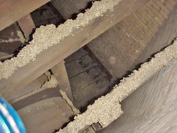 LOOKING_DOWN_ABOVE_PROSCENIUM