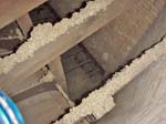 LOOKING_DOWN_ABOVE_PROSCENIUM