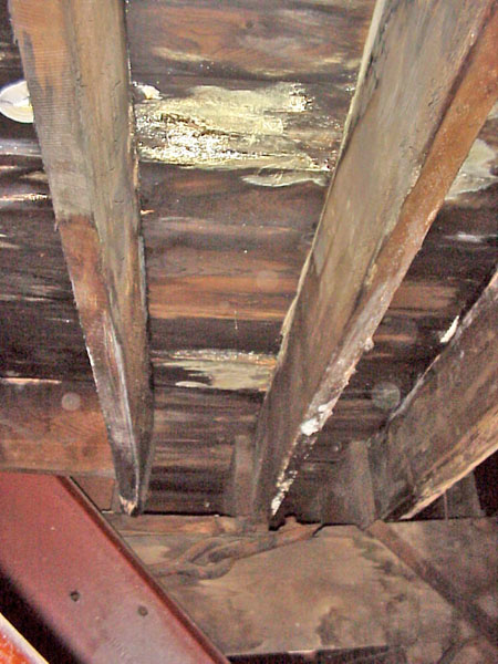 4-8-13_HOUSE_ROOF_LEAK_NORTH_MIDDLE_A