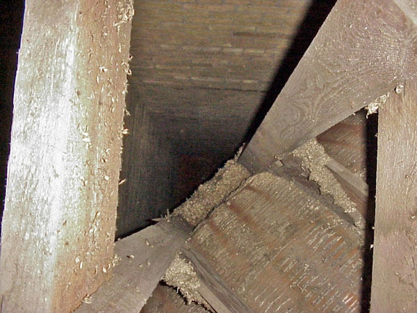 4-8-13_VIEW_ABOVE_HOUSE_LEFT_FRONT_CURVED_CEILING