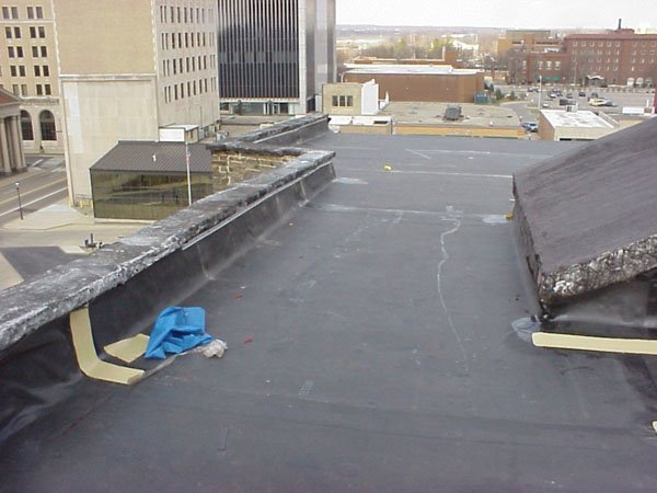 FLY_HOUSE_3-29-13_NW