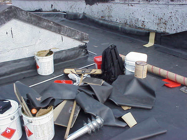 FLY_HOUSE_3-29-13_SUPPLIES