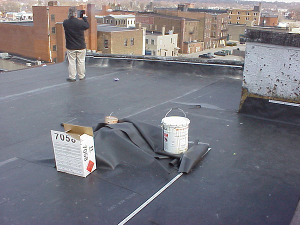 SORG_FLYHOUSE_ROOF_NE_3-29-2013