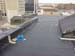FLY_HOUSE_3-29-13_NW
