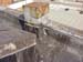 SORG_STAGE-HOUSE_ROOF_MID_NE_VIEW